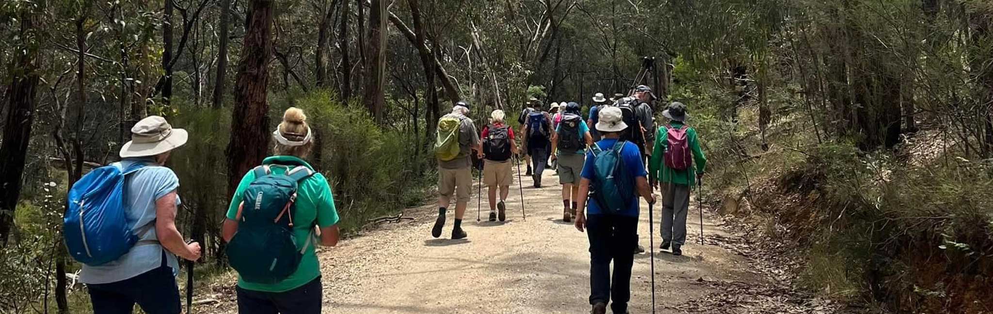 join bushwalking